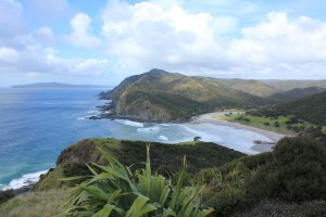 Cape Reinga-036